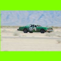 683 - LeMons Chuckwalla 2012.jpg